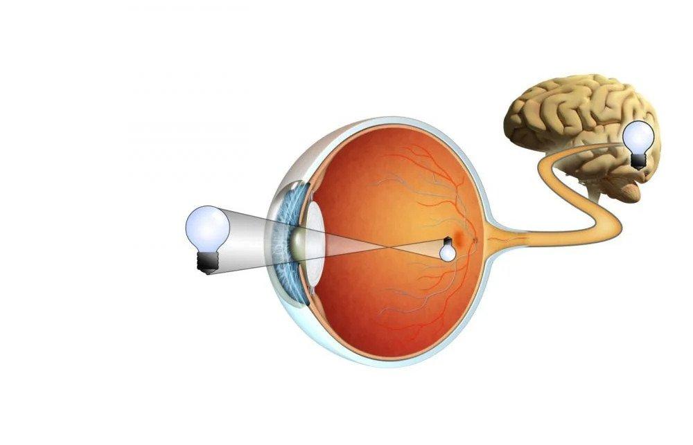 Neuro Vision Therapy Clinic